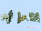 Preview: 3  Bergkristalle mit Chlorid, Pakistan/Himalaya