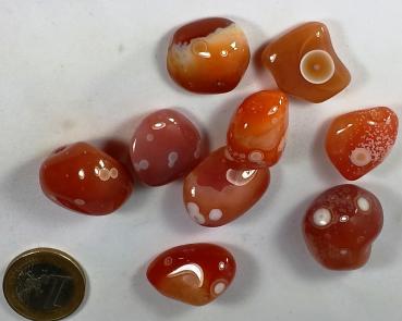 Augen-Carneol , 2-3 cm, Botswana, rar