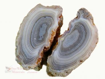 Botswana Achat, geteilt und angeschliffen - Einzelstücke