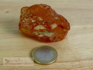 Preview: Großer schöner Bernstein, Baltikum