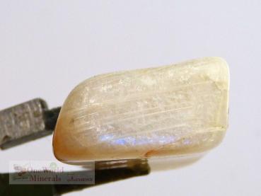 Preview: Mondstein aus Tansania, Schmuckanhänger mit Blauschimmer (oben) - Einzelstück