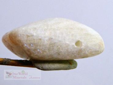 Preview: Mondstein aus Tansania, Schmuckanhänger mit seitlichem Blauschimmer  - Einzelstück