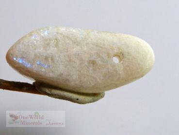 Preview: Mondstein aus Tansania, Schmuckanhänger mit seitlichem Blauschimmer  - Einzelstück