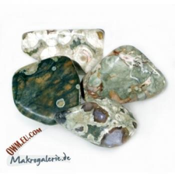 Rhyolith Australien Trommelstein