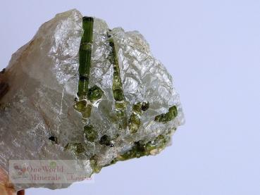 Preview: Grüner Turmalin in Quarz, Schmuckanhänger -  Einzelstück