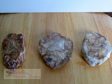 Preview: Versteinertes Holz, 3 polierte Scheiben - Unikate