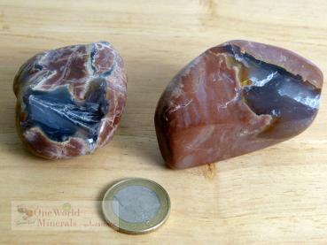 Thundereggs (Amulettsteine) Australien Mt. Hay - Einzelstücke