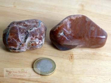 Preview: Thundereggs (Amulettsteine) Australien Mt. Hay - Einzelstücke