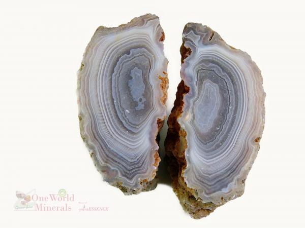 Botswana Achat, geteilt und angeschliffen - Einzelstücke