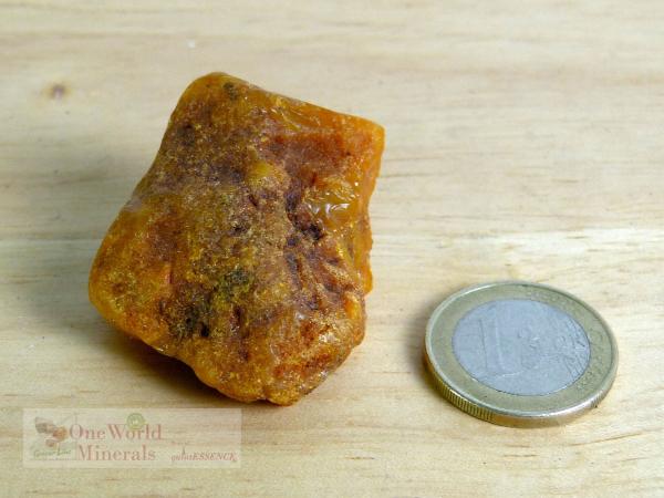 Größerer schöner Bernstein, Baltikum