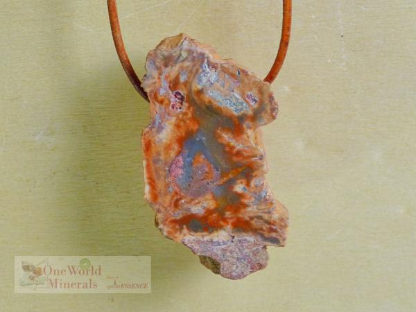 Versteinertes Holz, Anhänger handgeschliffen - Unikat